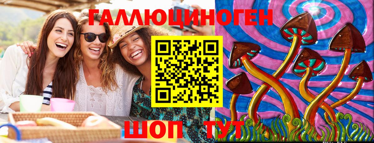 Псилоцибиновые грибы Cubensis Владивосток